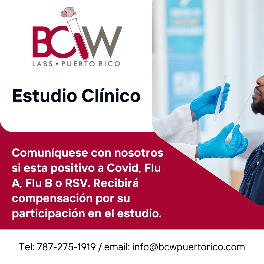 BCW Puerto Rico | Catano