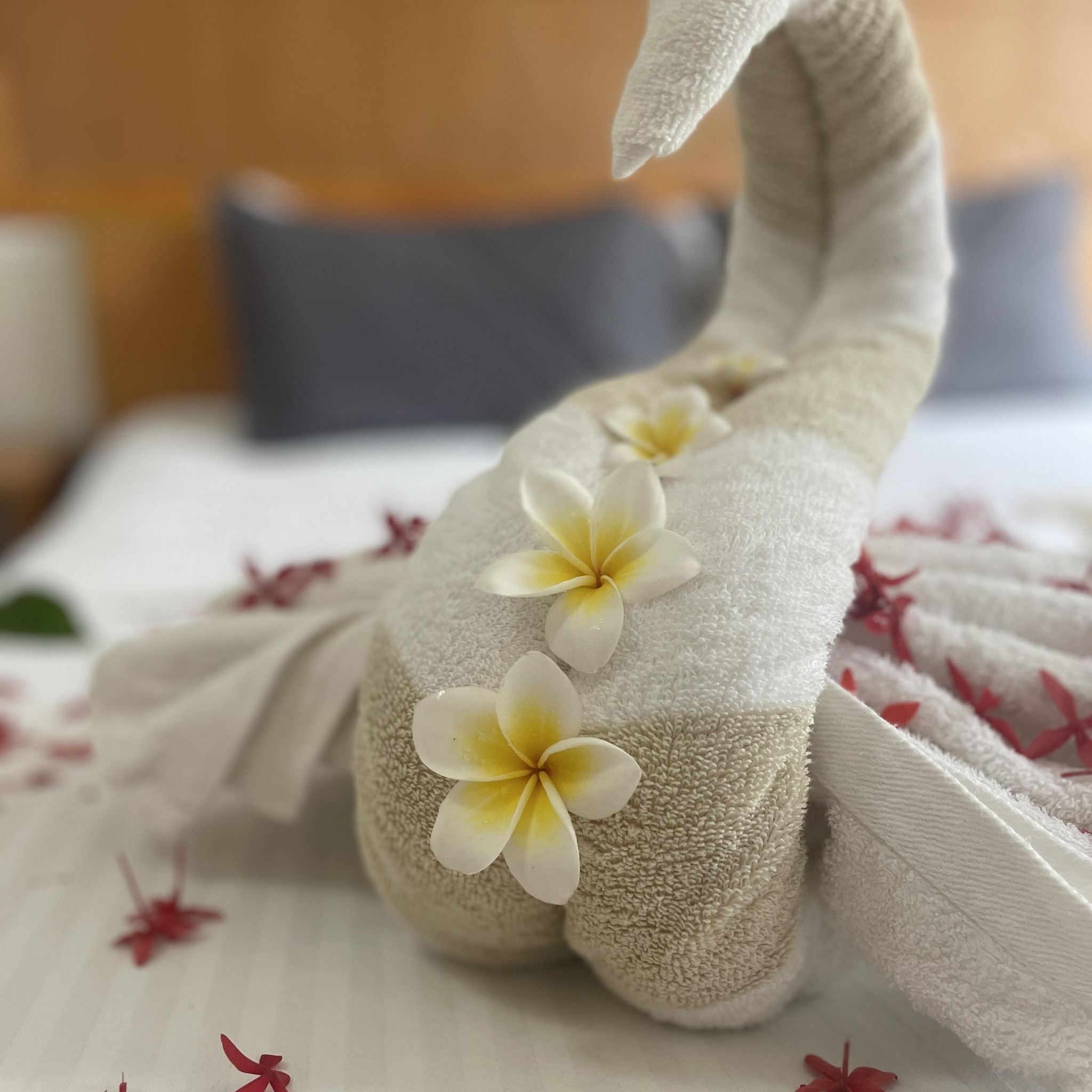 𝐅𝐢𝐧𝐝𝐢𝐧𝐠 𝐟𝐫𝐞𝐞𝐝𝐨𝐦... - Mathiveri Thundi Inn - Guest House | Facebook