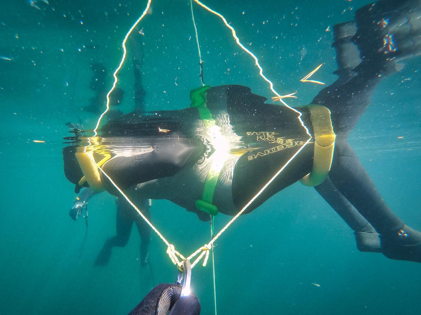 Freefall Finland Freediving School
