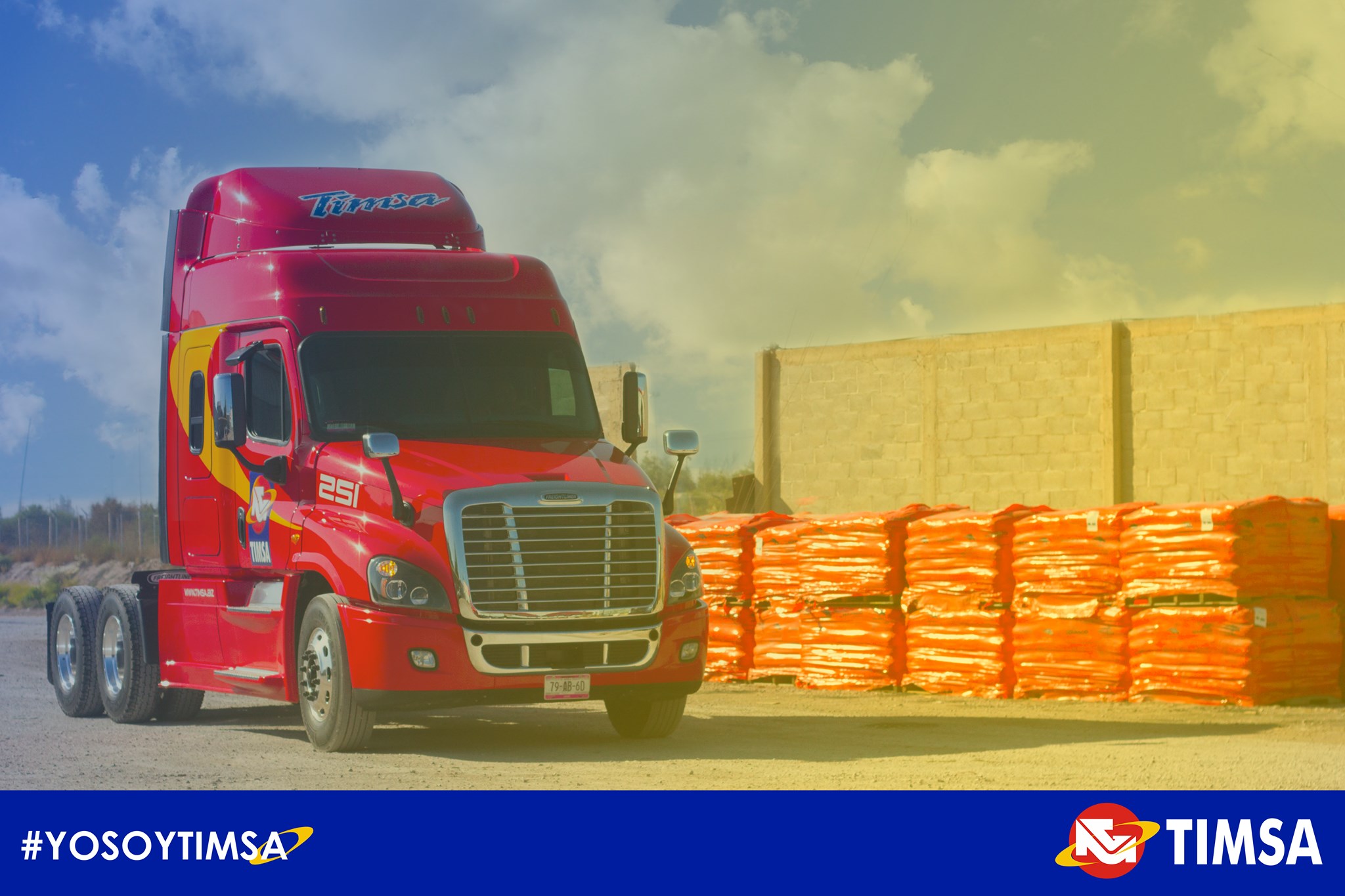 TIMSA - Te recomendamos que cheques las llantas de tu... | Facebook