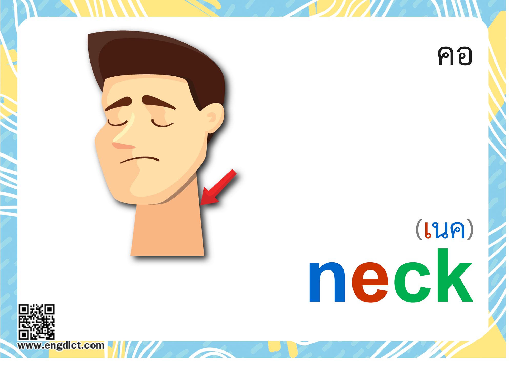 Engdict - เรียนภาษาอังกฤษ - neck แปลว่าอะไร ? ฝึกสะกดคำศัพท์ภาษาอังกฤษ ...
