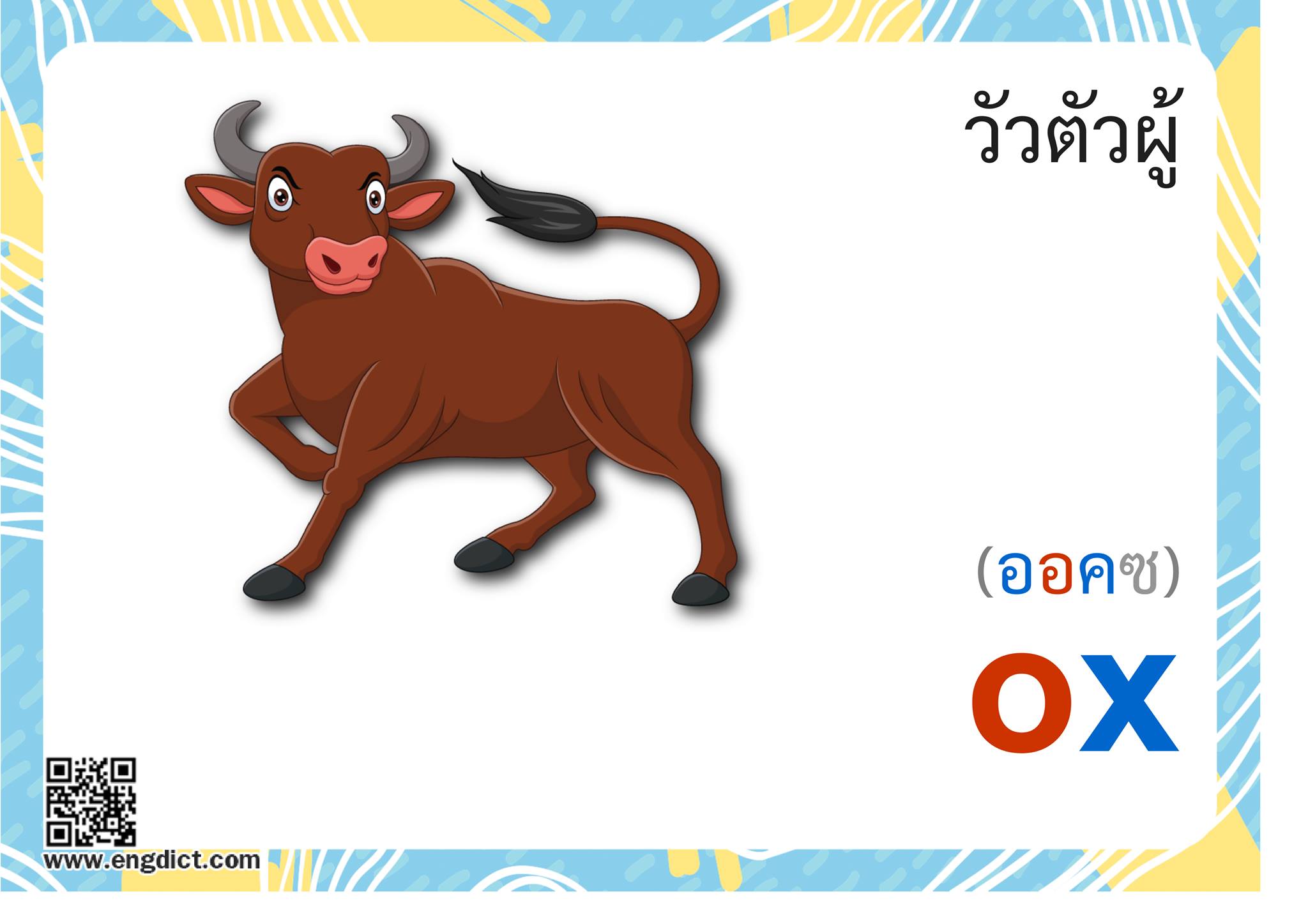 Engdict - เรียนภาษาอังกฤษ - ox แปลว่าอะไร ? ฝึกสะกดคำศัพท์ภาษาอังกฤษจาก ...