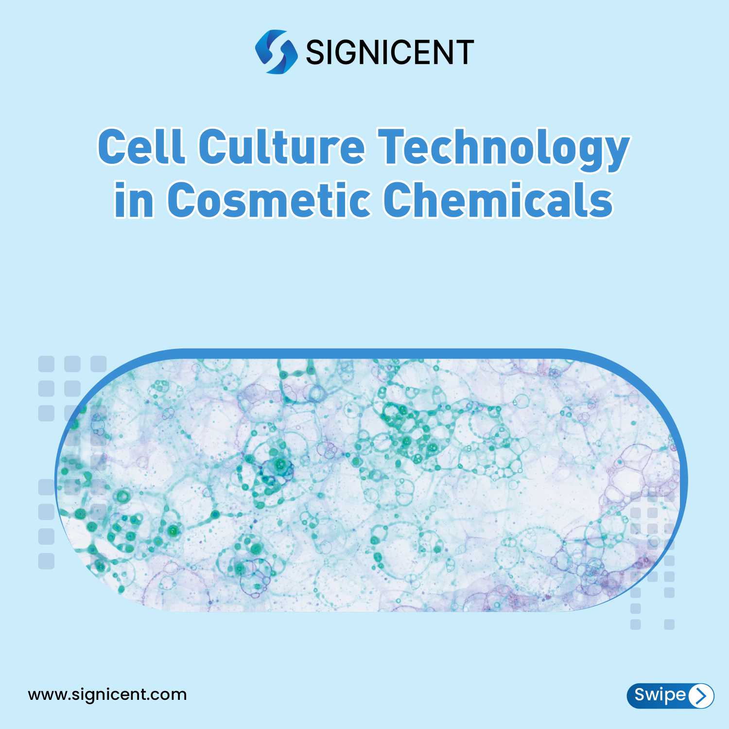 🔬 Advancing Beauty:... - Signicent Information Solutions LLP | Facebook
