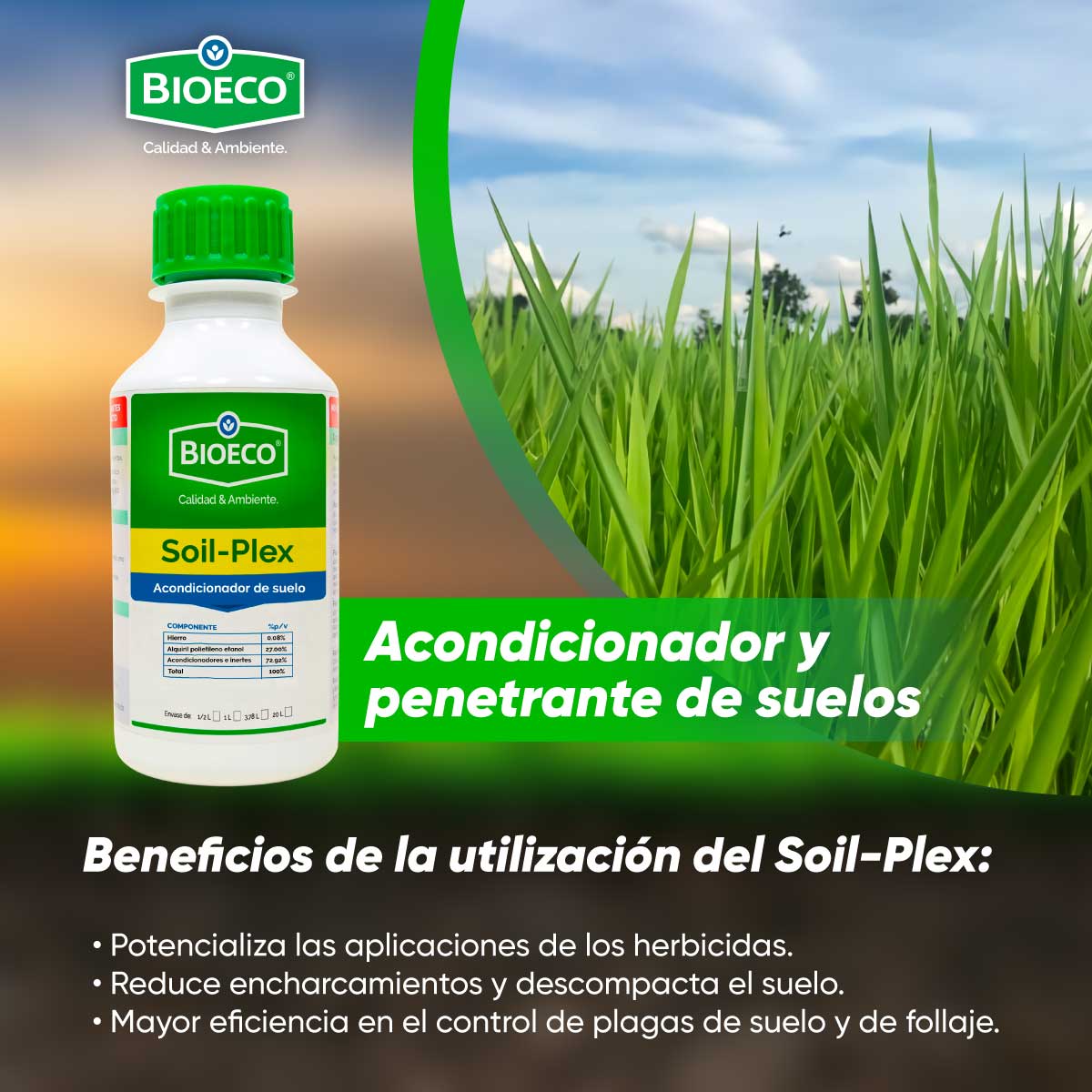 Bioeco CR - SOIL-PLEX 🌱 Producto que logra incrementar la... | Facebook
