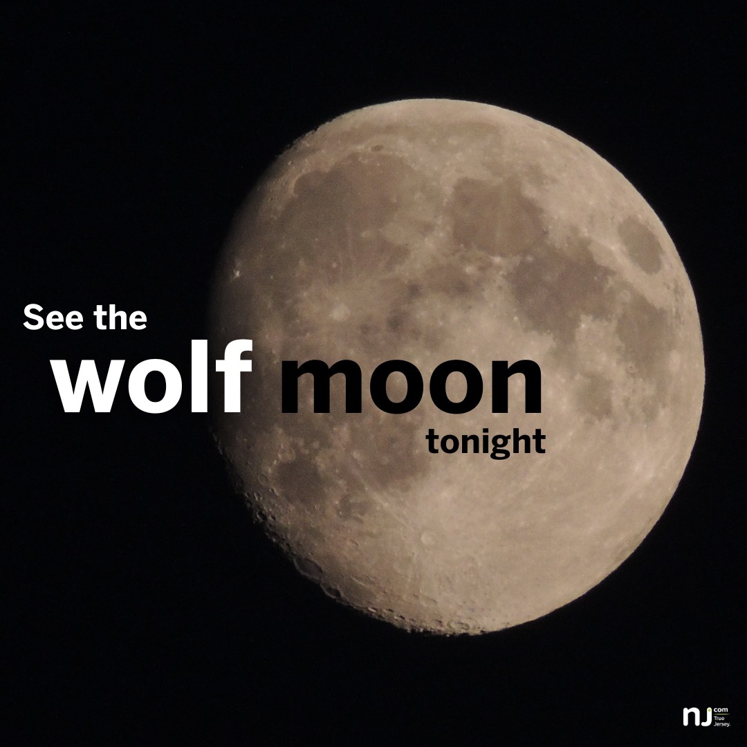 NJ.com - Awoooo! Time to howl at the moon. The January...