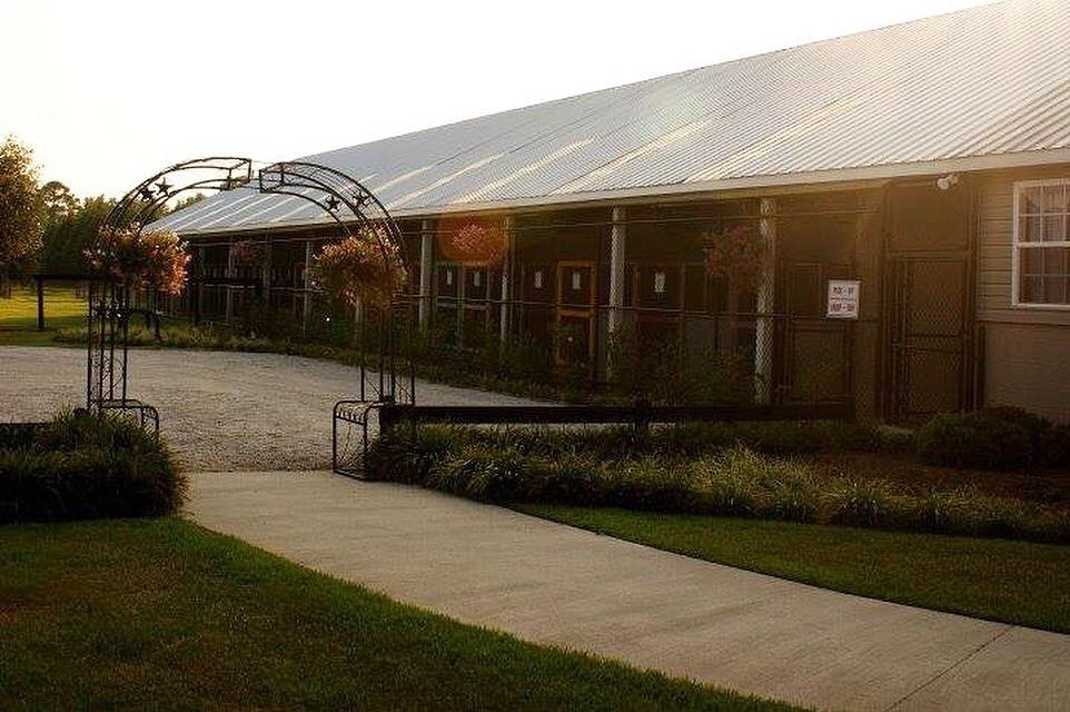 Spring Creek Kennel &... - Spring Creek Kennel & Cattery