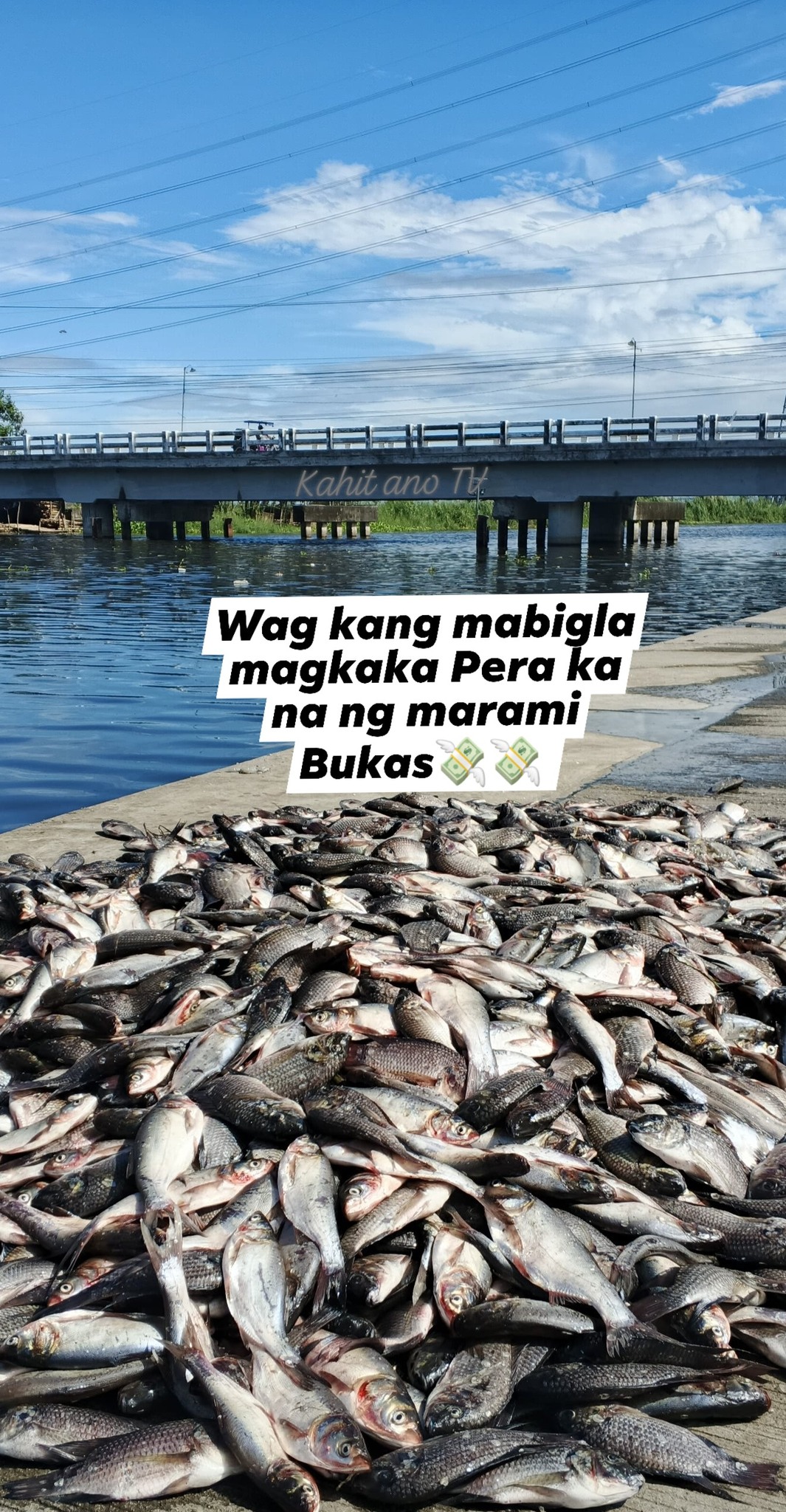 Kahit - Yessss 💞💞🥰 #adventure | Facebook