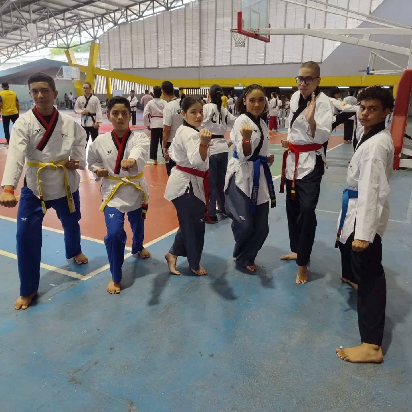 club-de-taekwondo-cartagena