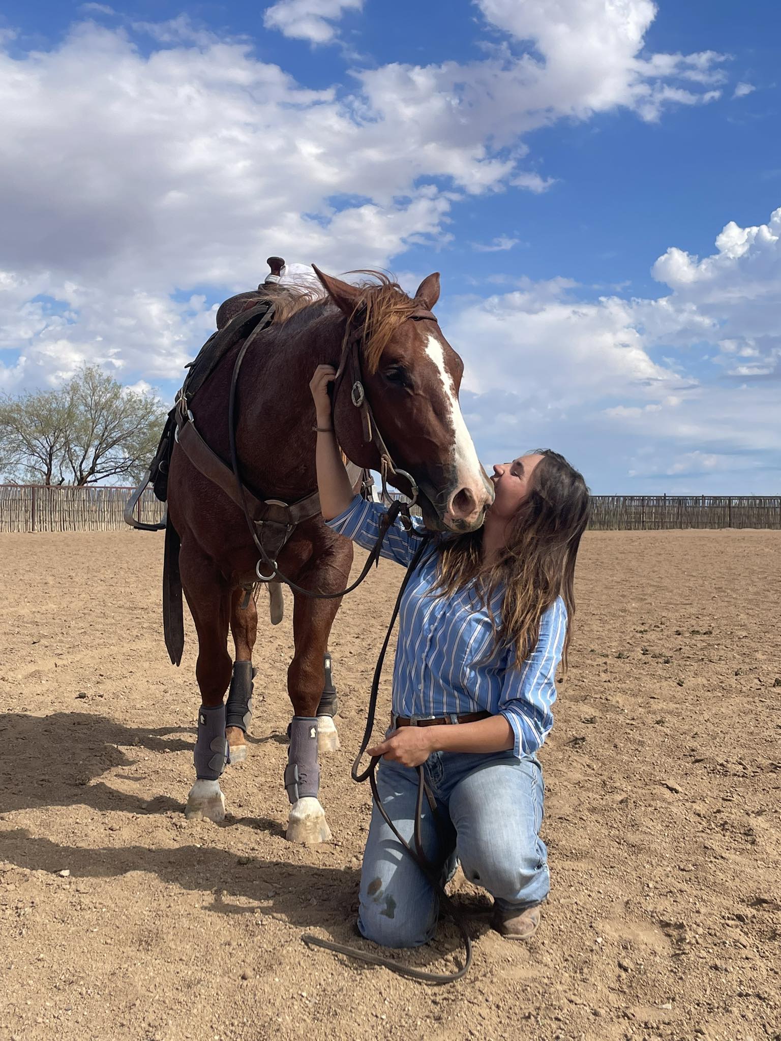 Pro Horse Performance | Wickenburg AZ