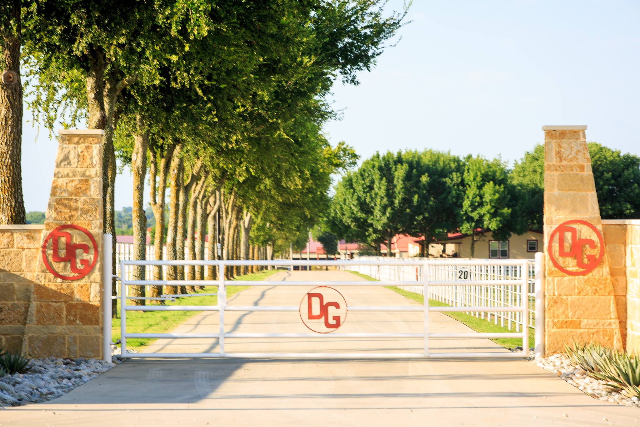 DG Ranch | Gunter TX