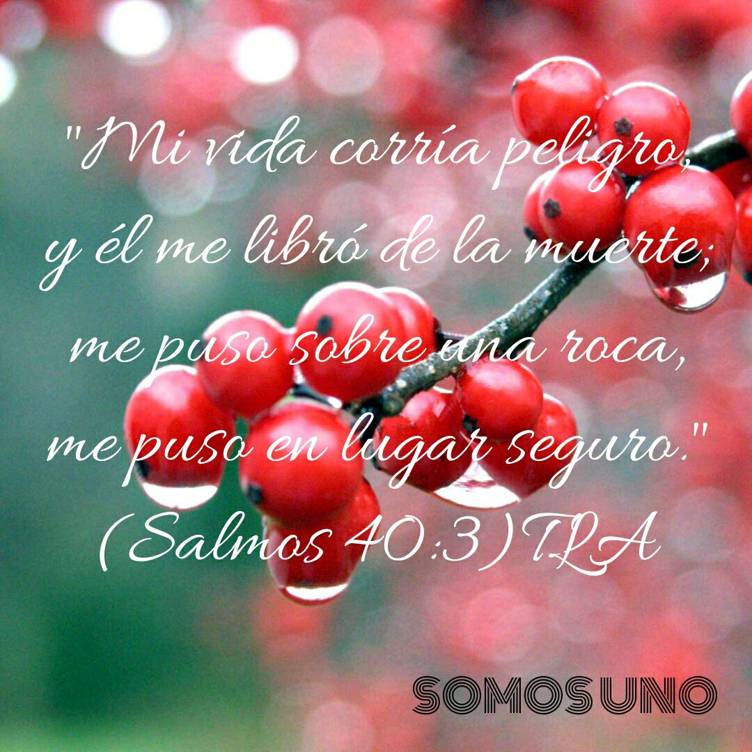 somos-dios-siempre-llegar-a-nuestro-socorro-y-nos-librar-de-todo
