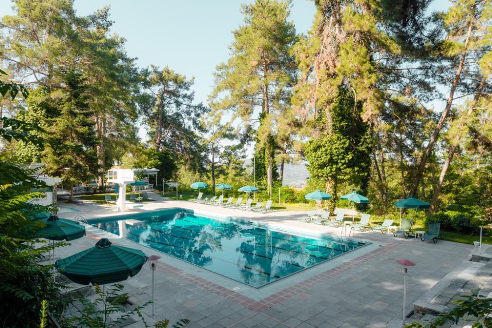 forest-park-hotel-pano-platres
