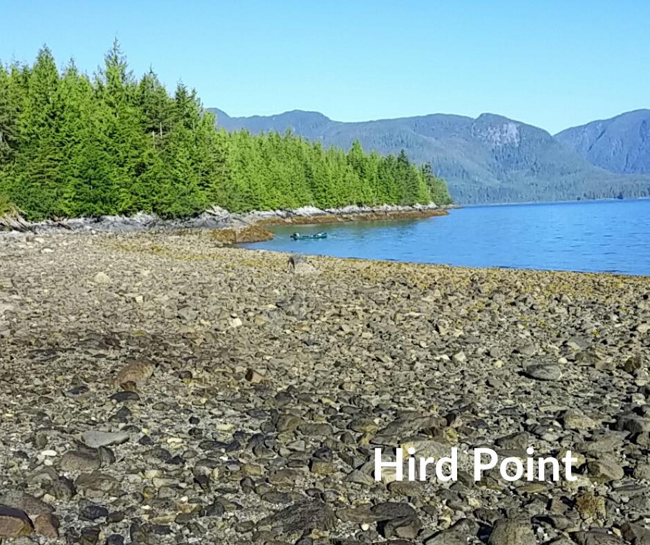 Happy New Year! 🎉🎉 Are you... - BC Marine Trails Network