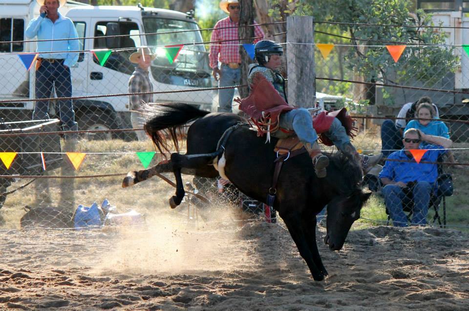 Wild World of Rodeo - STANTHORPE RODEO , action in the Junior Bareback ...