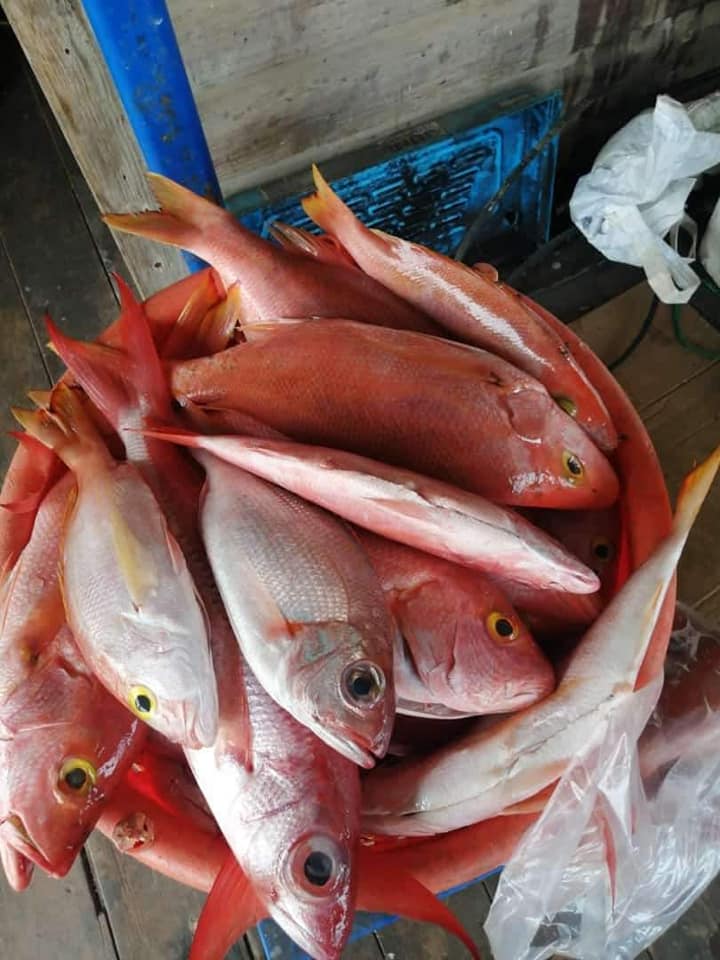 Sea Food Roatan