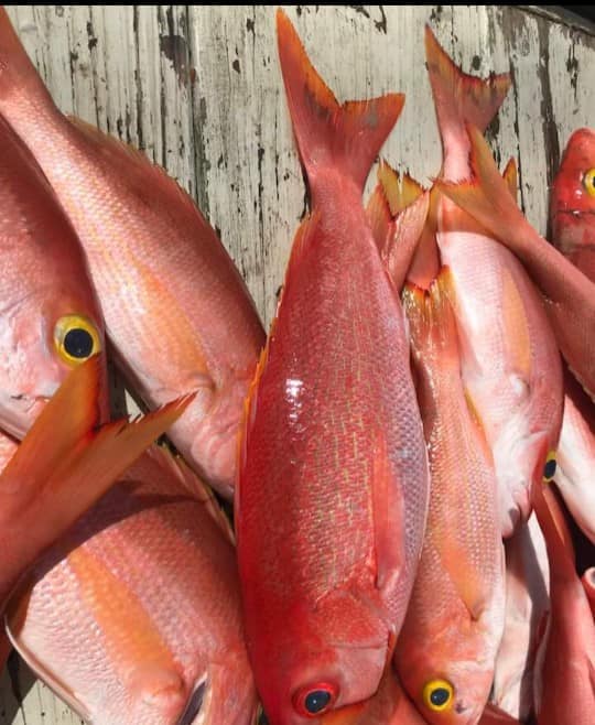 Sea Food Roatan