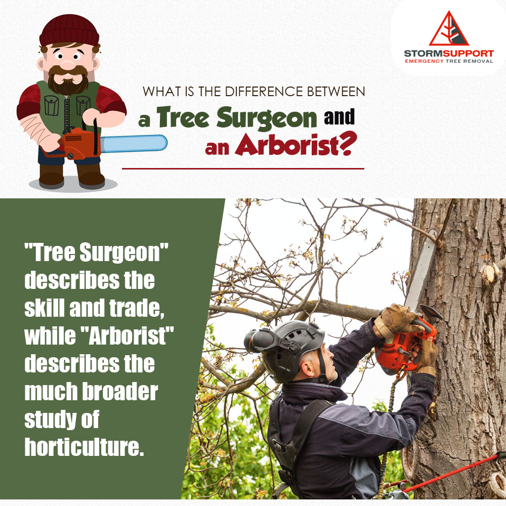 Storm Support Emergency Tree Removal LLC | Rockford MI