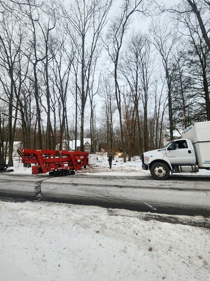🌳 Need tree removal? 🚛 Our expert... - Blue Ox Tree Service | Facebook