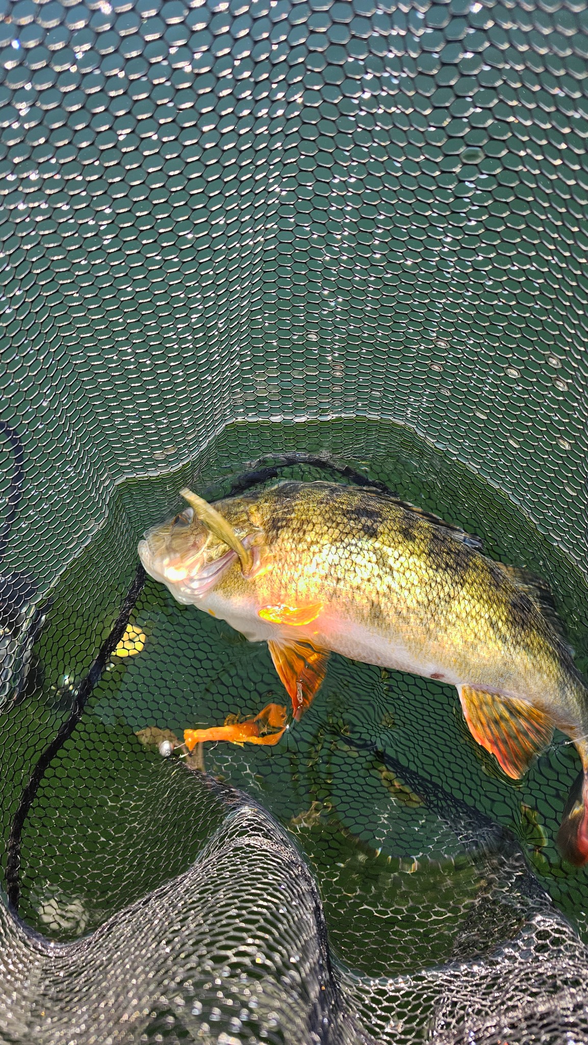 Ruthless Fishing added a new photo. - Ruthless Fishing