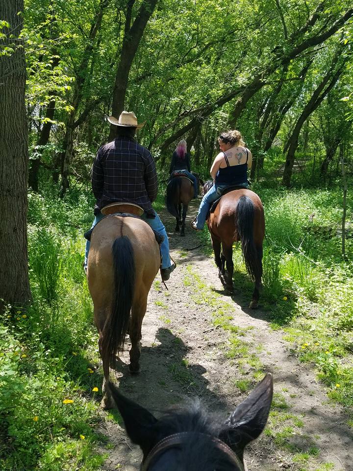 Rock Ranch Rides - Home