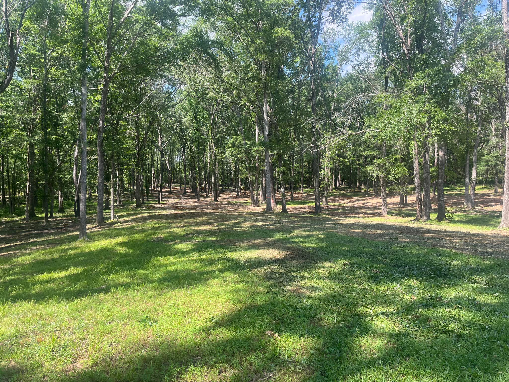3D Land Clearing | Carson MS