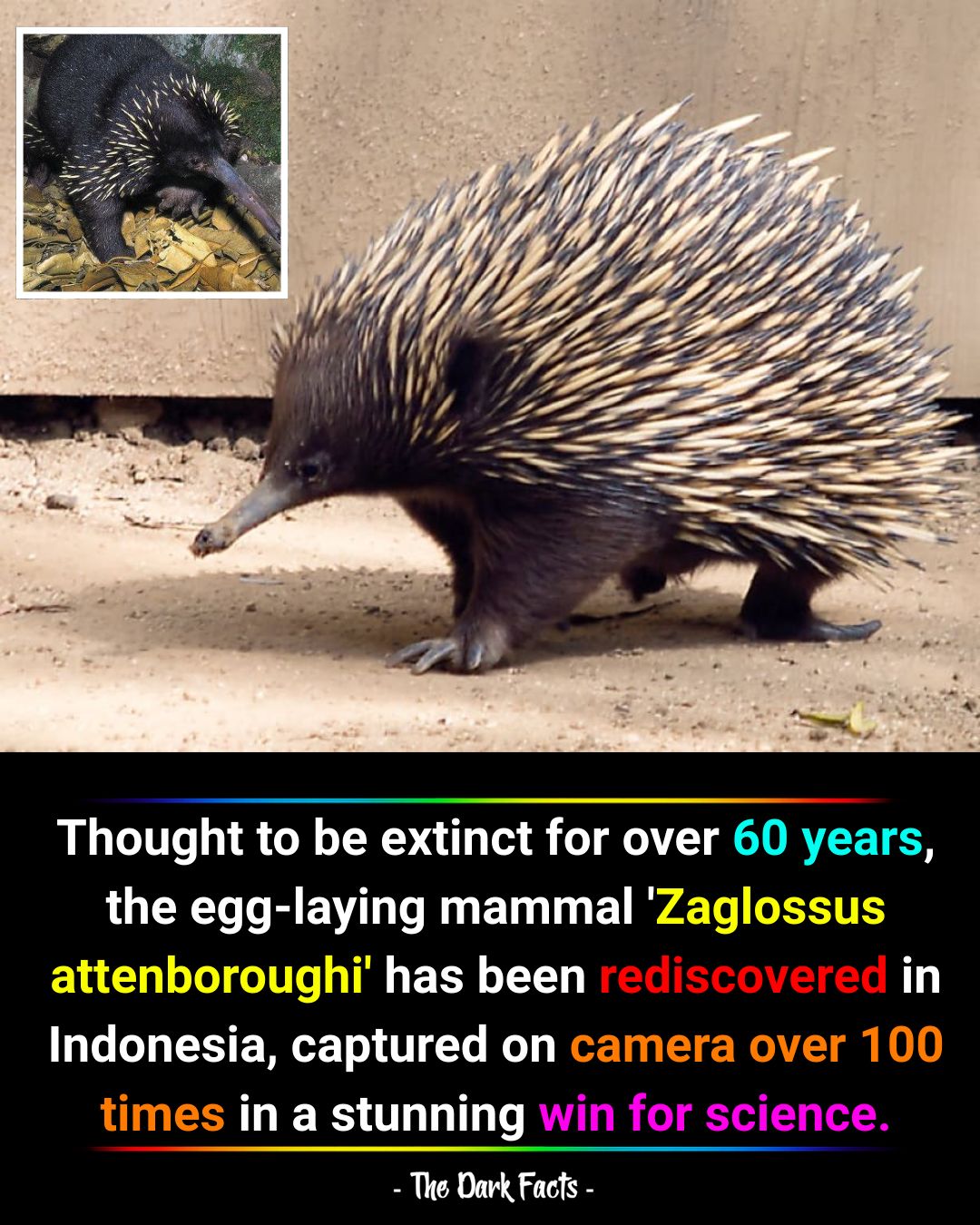 National Geographic Adventure | In a surprising and hopeful turn, the ...