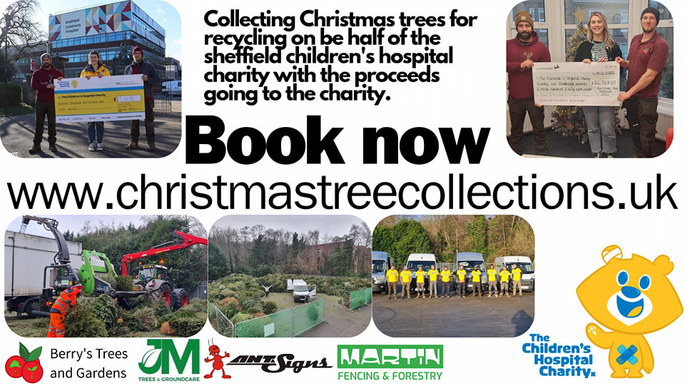 Christmas tree collection for the Sheffield Children's Hospital Charity ...