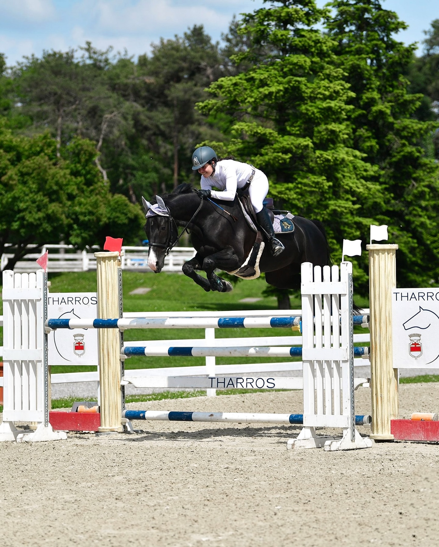 Equus Academy