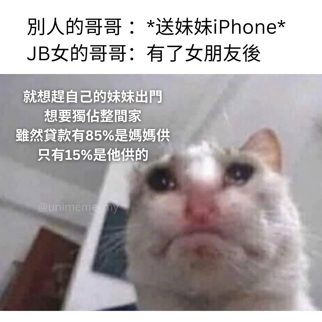 有女朋友就忘记妹妹了🥲 . . 广告/宣传，DM详谈 . IG:... - 讲鸟话迷迷 Bird Talk Meme | Facebook