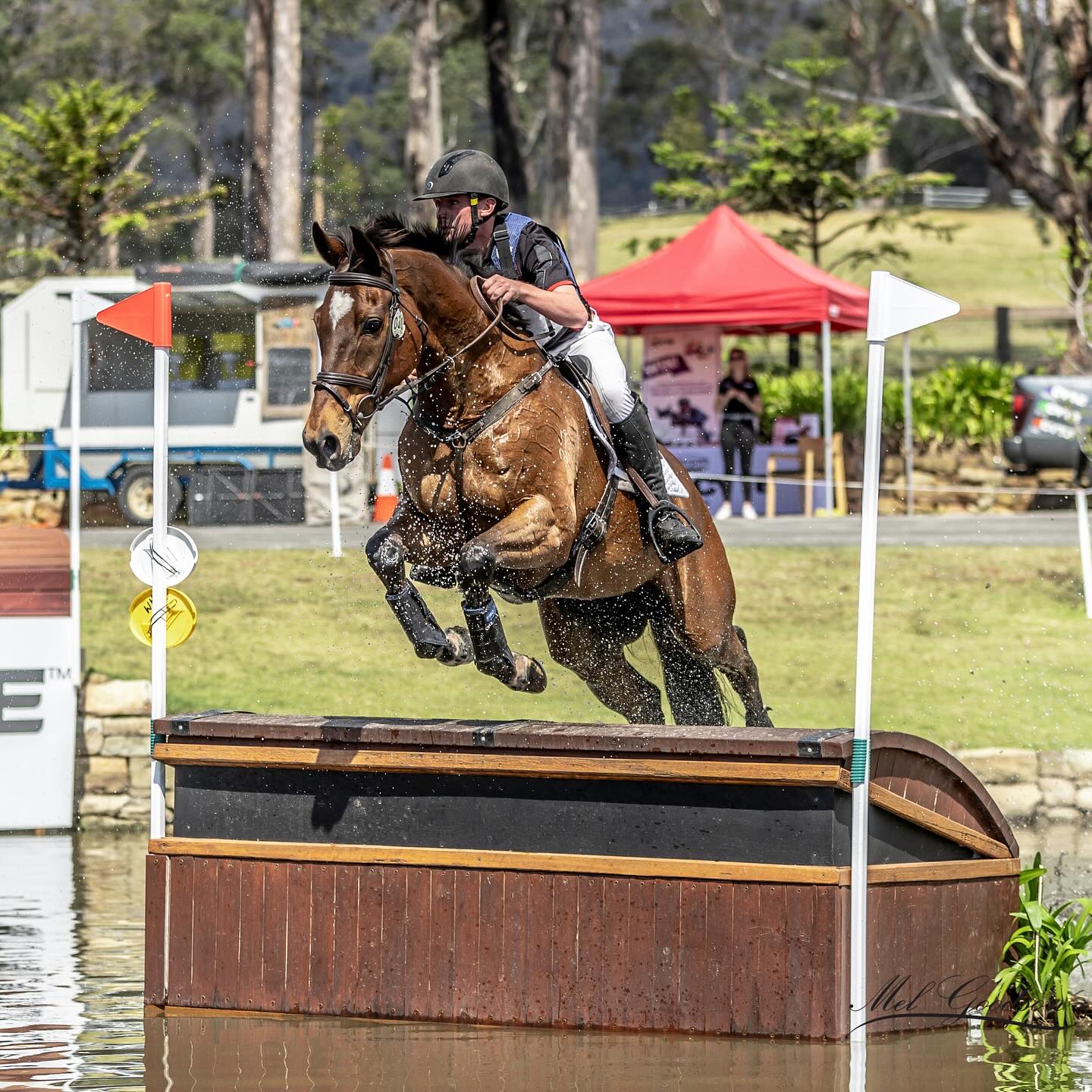 The Next Chapter – where are they... - Chris Waller Racing | Facebook