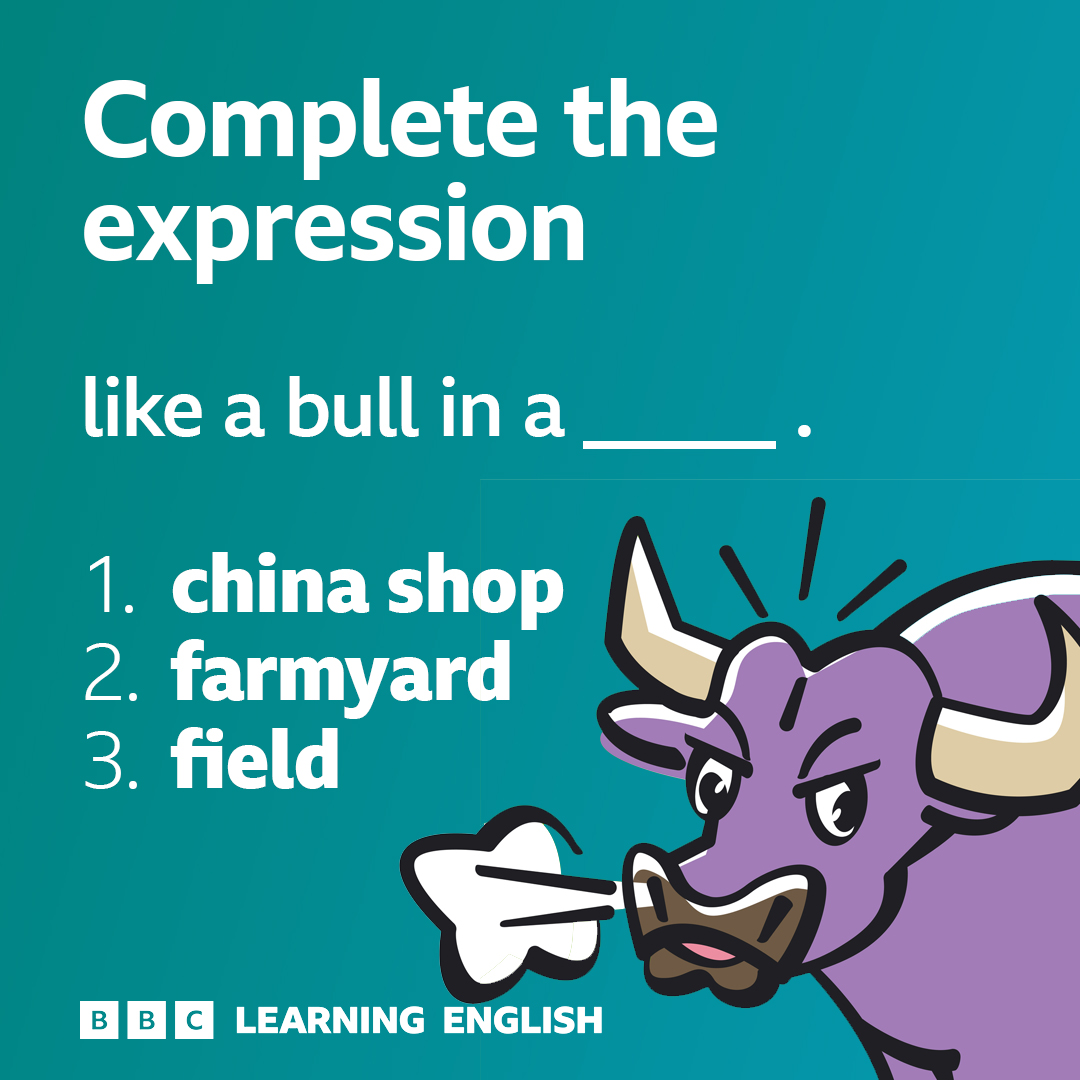 BBC - 🐮🐮 Here’s an expression you can use to describe someone who’s ...