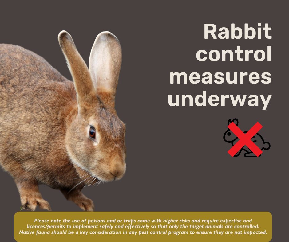 𝗥𝗮𝗯𝗯𝗶𝘁 𝗖𝗼𝗻𝘁𝗿𝗼𝗹 -... - City of Busselton - Local Government | Facebook