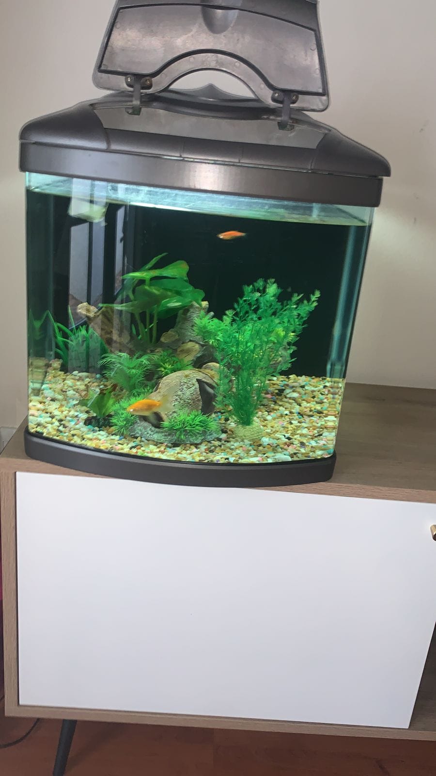 fish tank accessories johannesburg Novelsite Accessories, Aquarium Decorations, Scenery, Rock Ornaments Custom Aquarium Builders - United