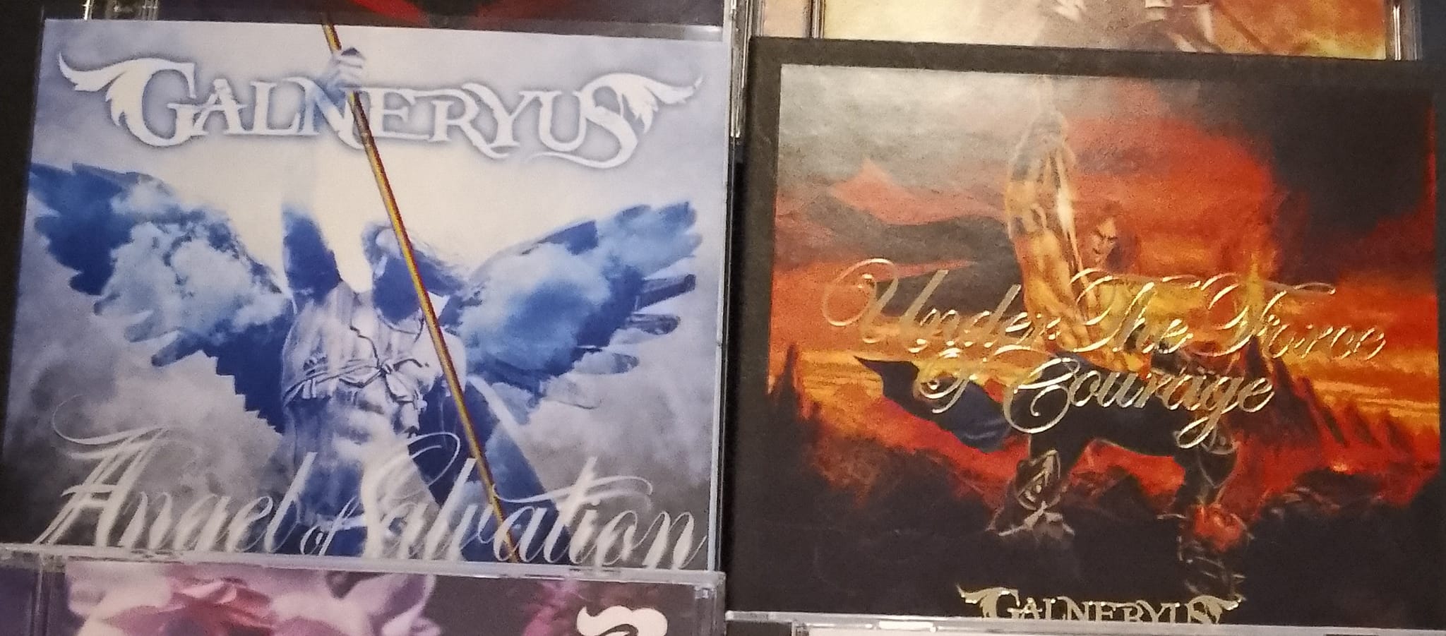 Galneryus CD collection