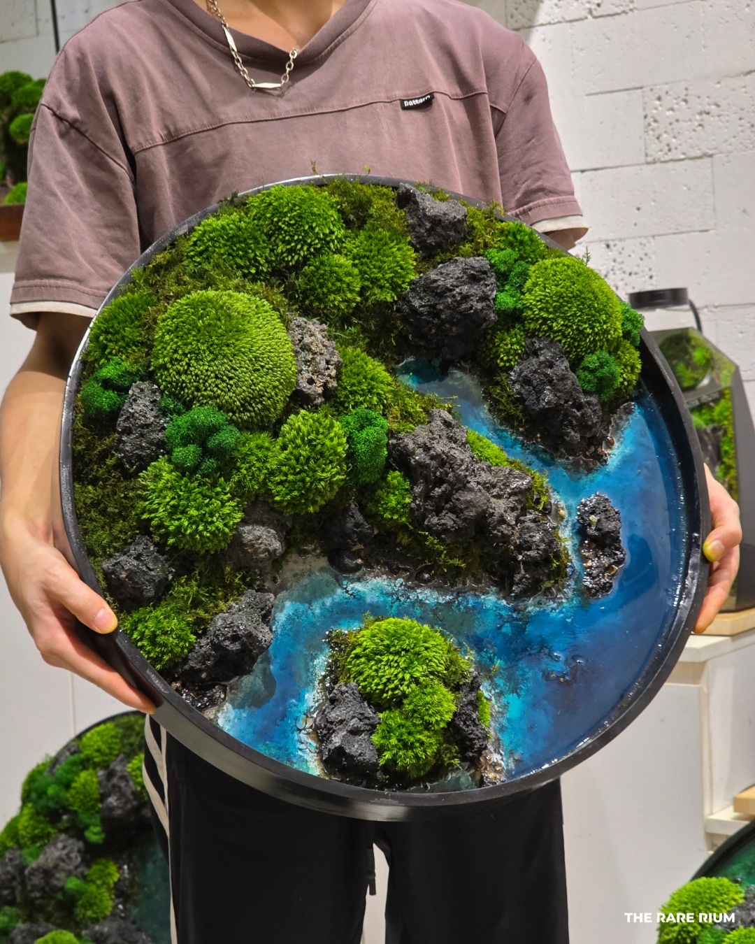 The Rare Rium - Plant &... - The Rare Rium - Plant & Moss Art