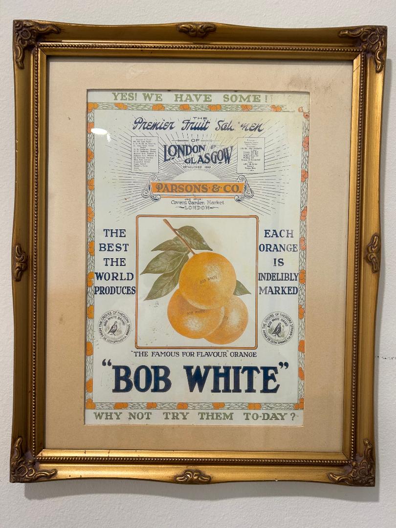 Old citrus packing labels from my past employment