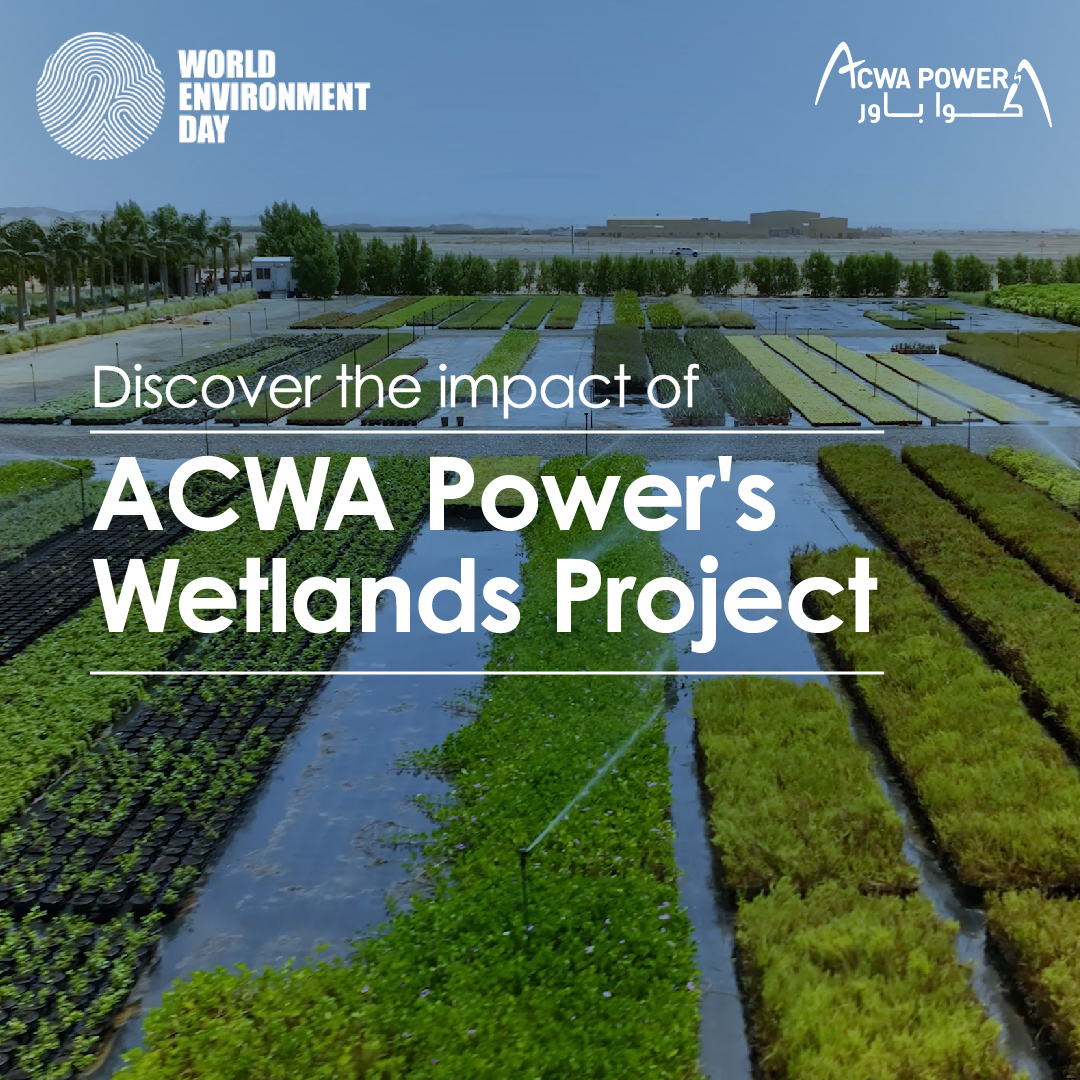 ACWA Power - Our transformative Wetlands Project, in...