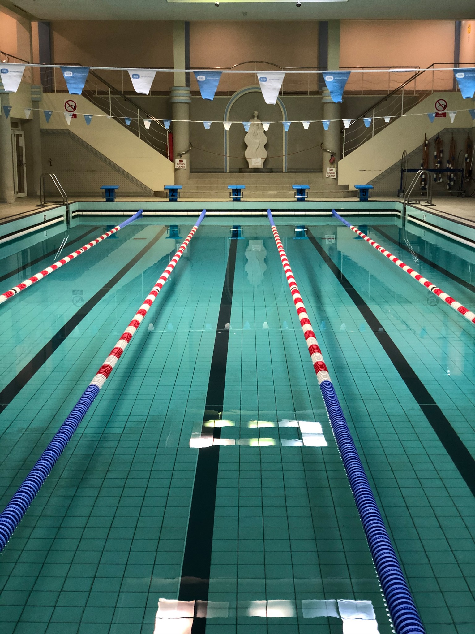 Alsaa Swim Club | Swords