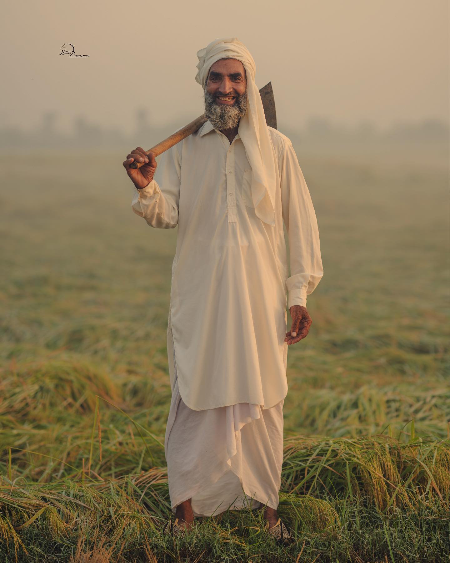 Punjab Agri Farm