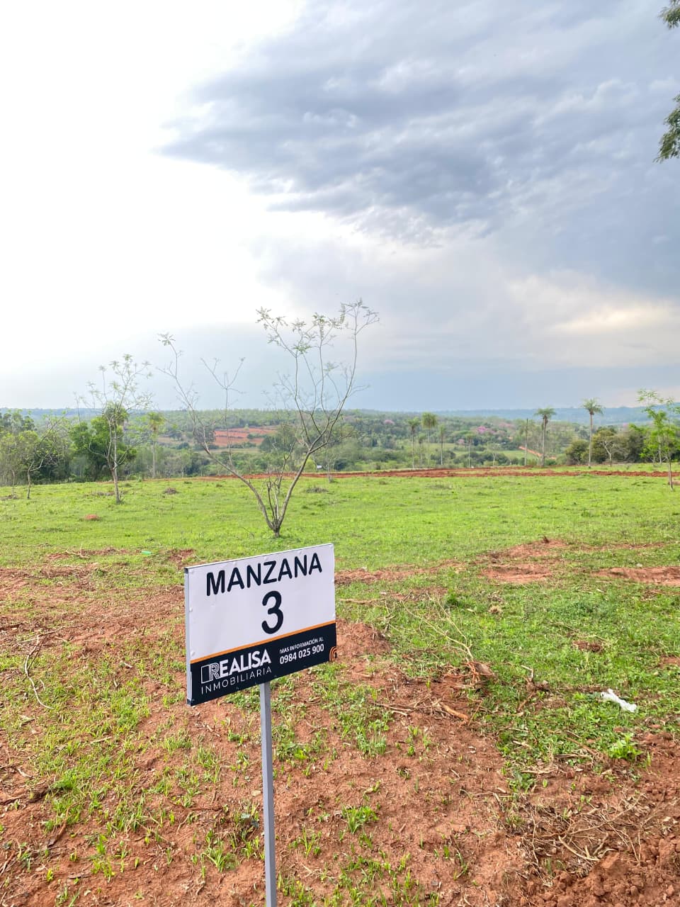 Realisa Inmobiliaria
