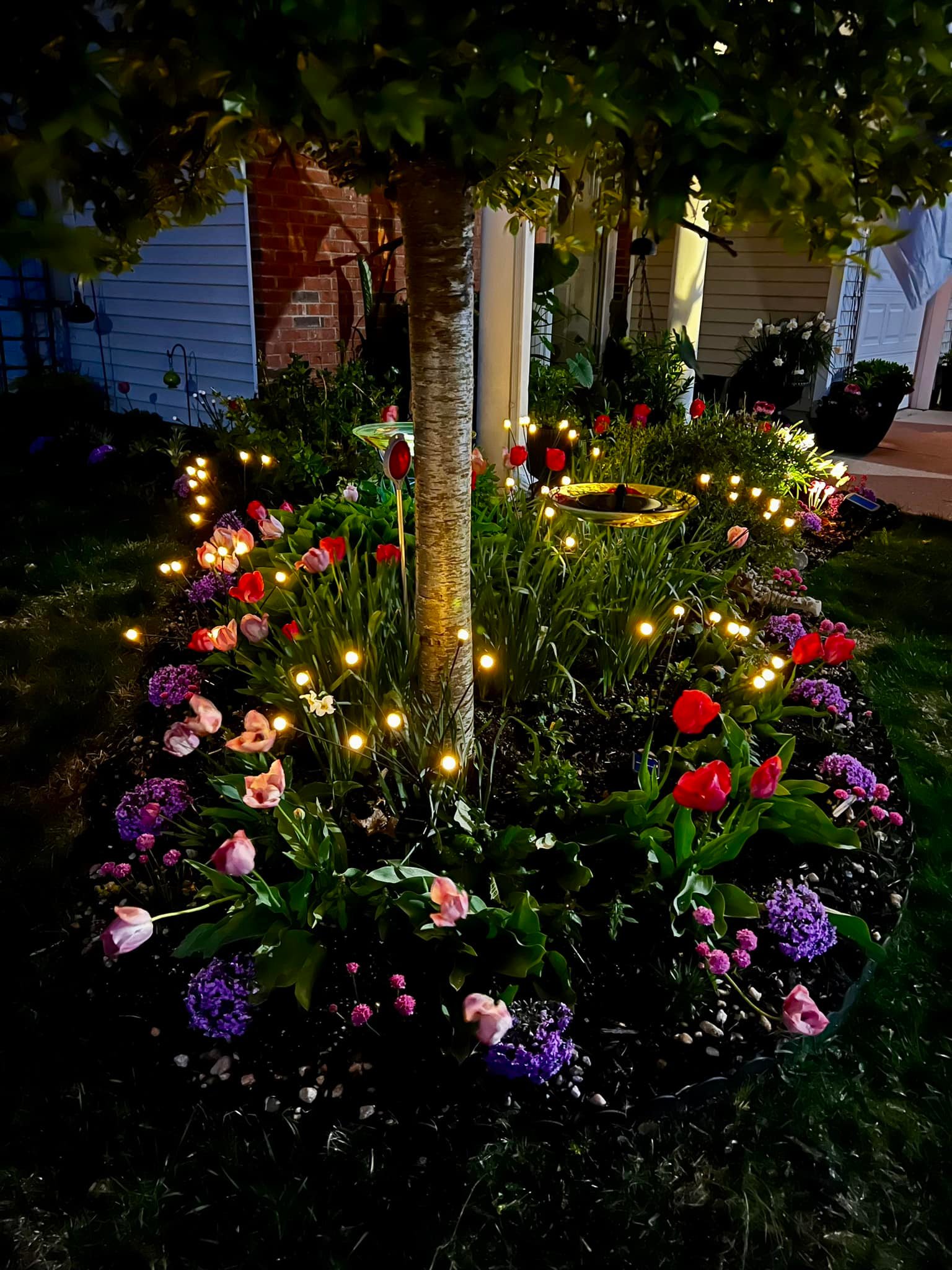6Pcs Solar Lights Outdoor Decorative Pathway Garden Stakes Lights Waterproof - O