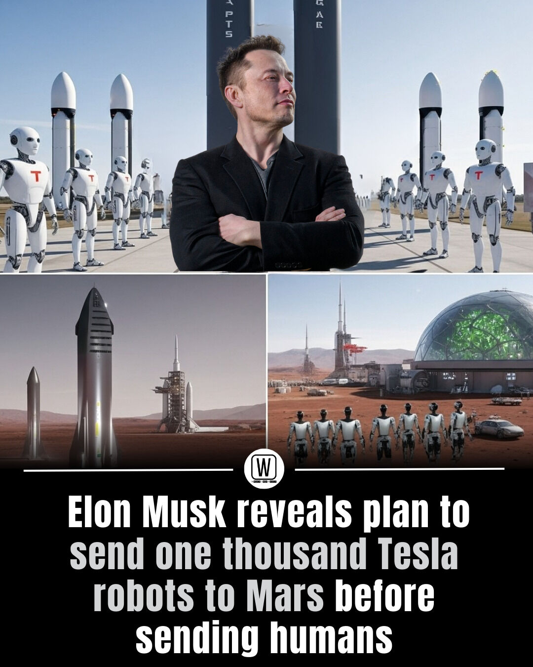 What the Fact - Elon Musk just dropped a cosmic bombshell... | Facebook