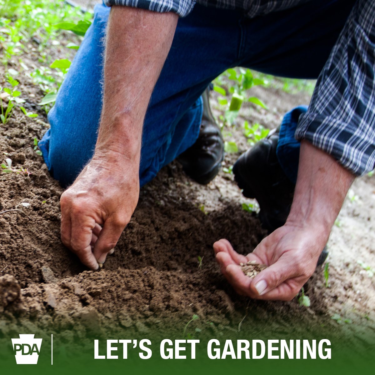 Pennsylvania Department of Aging - Spring is in the air and maybe for ...
