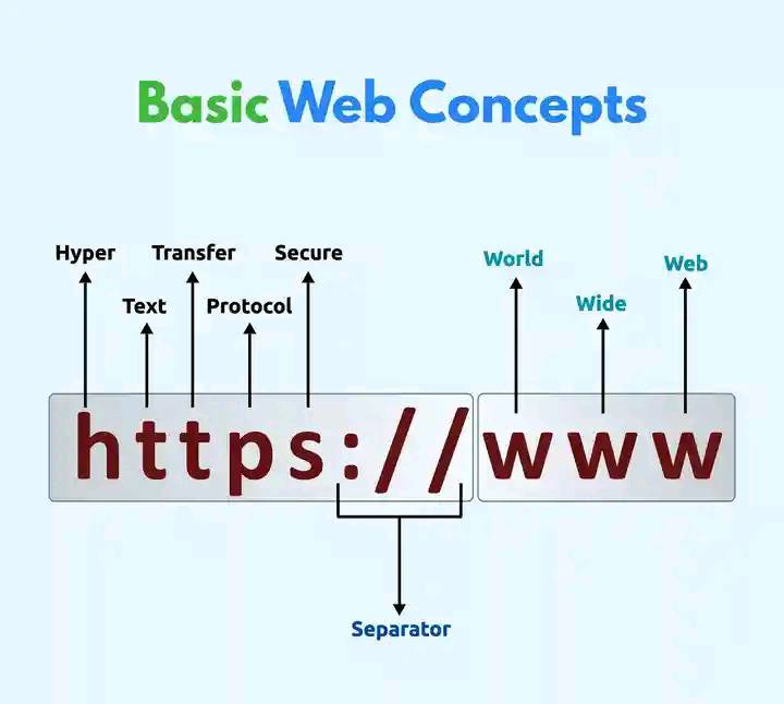 ShedyBrown - Basic Web Concepts by breaking down the structure of a web ...