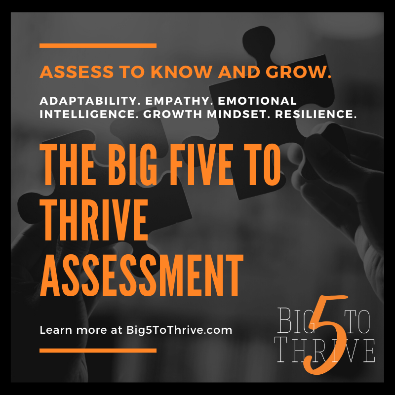 Work + Brain - The Big 5 to Thrive Assessment serves to...