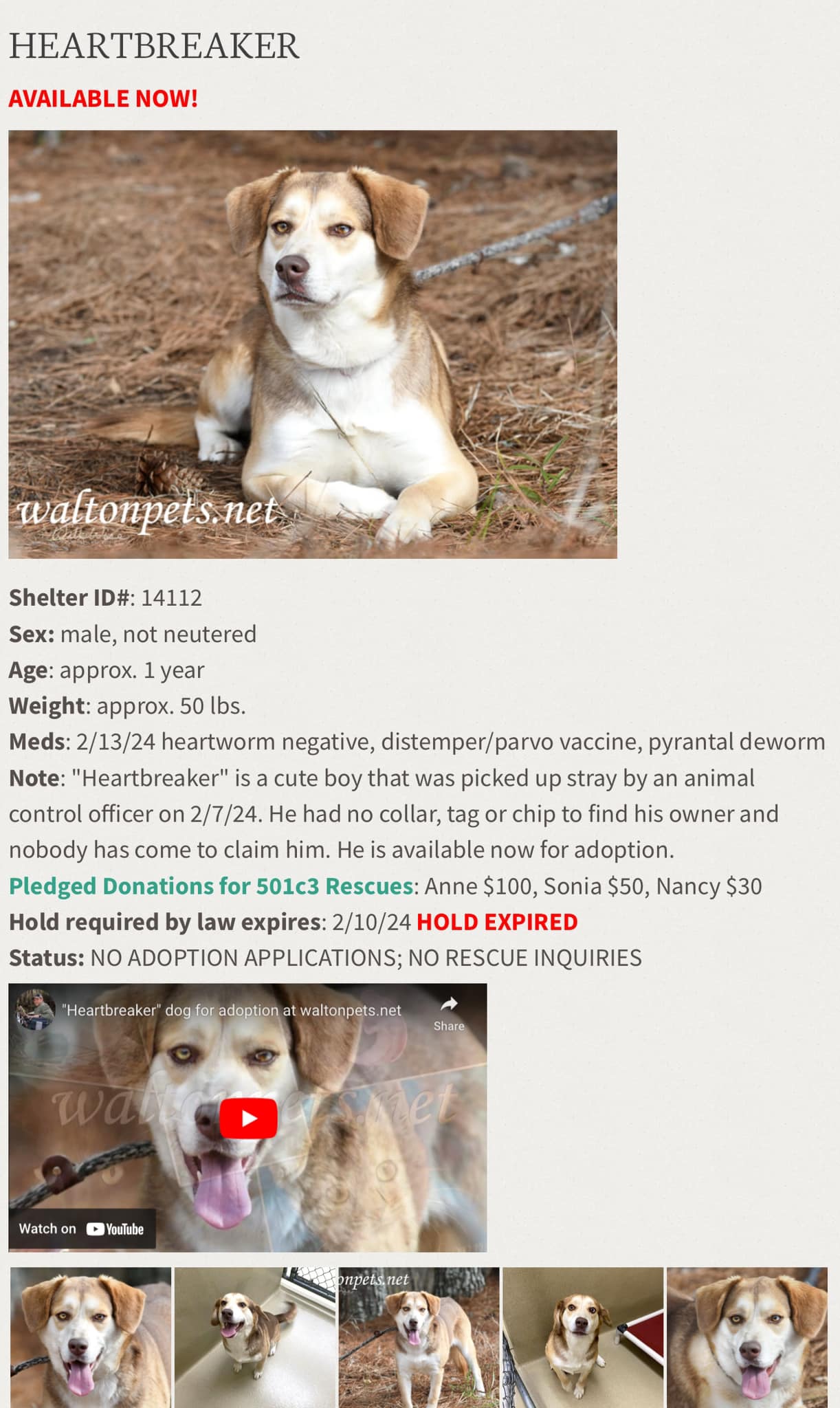 We need help for this baby too !!