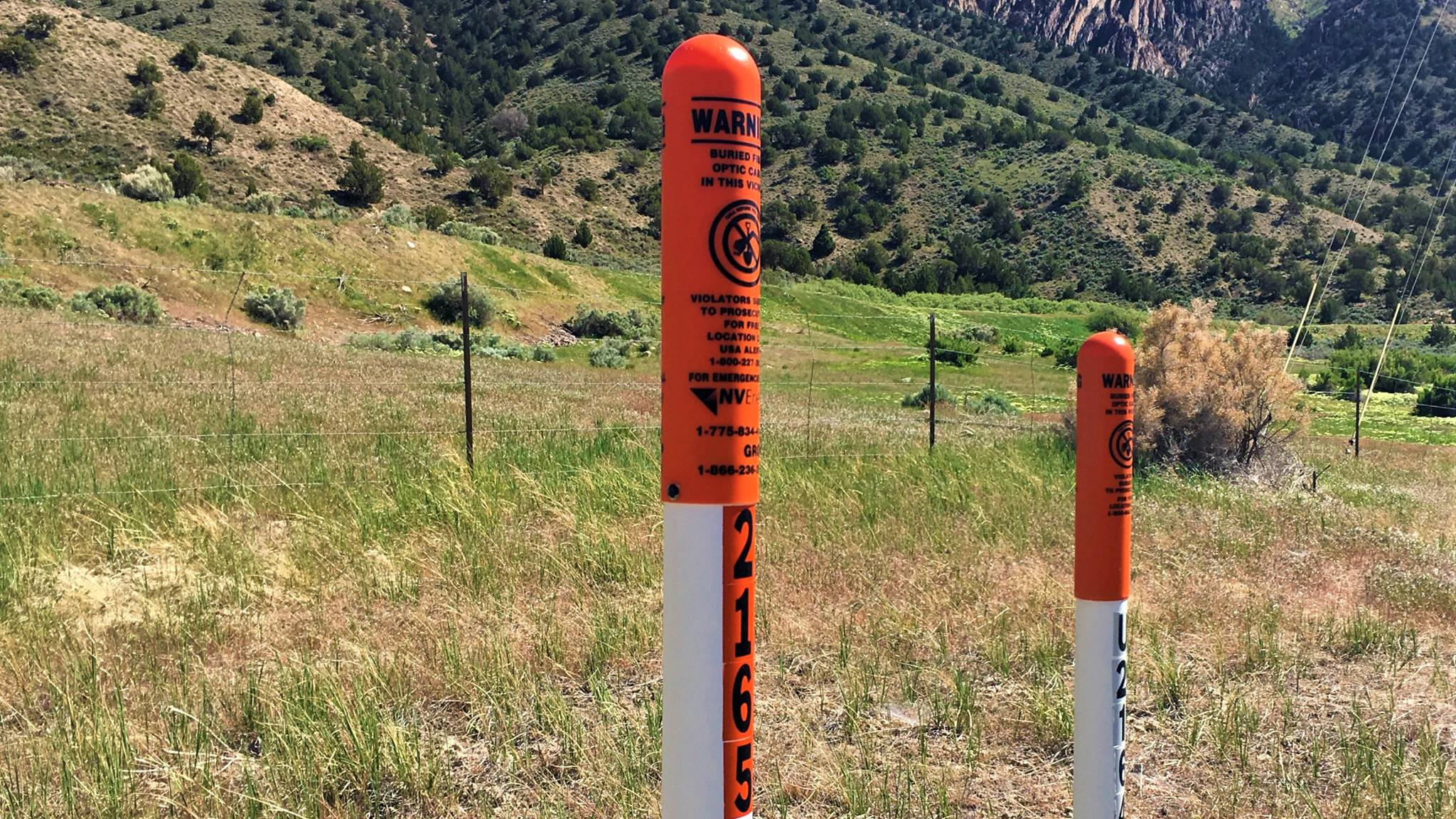 RMWT | Nephi UT