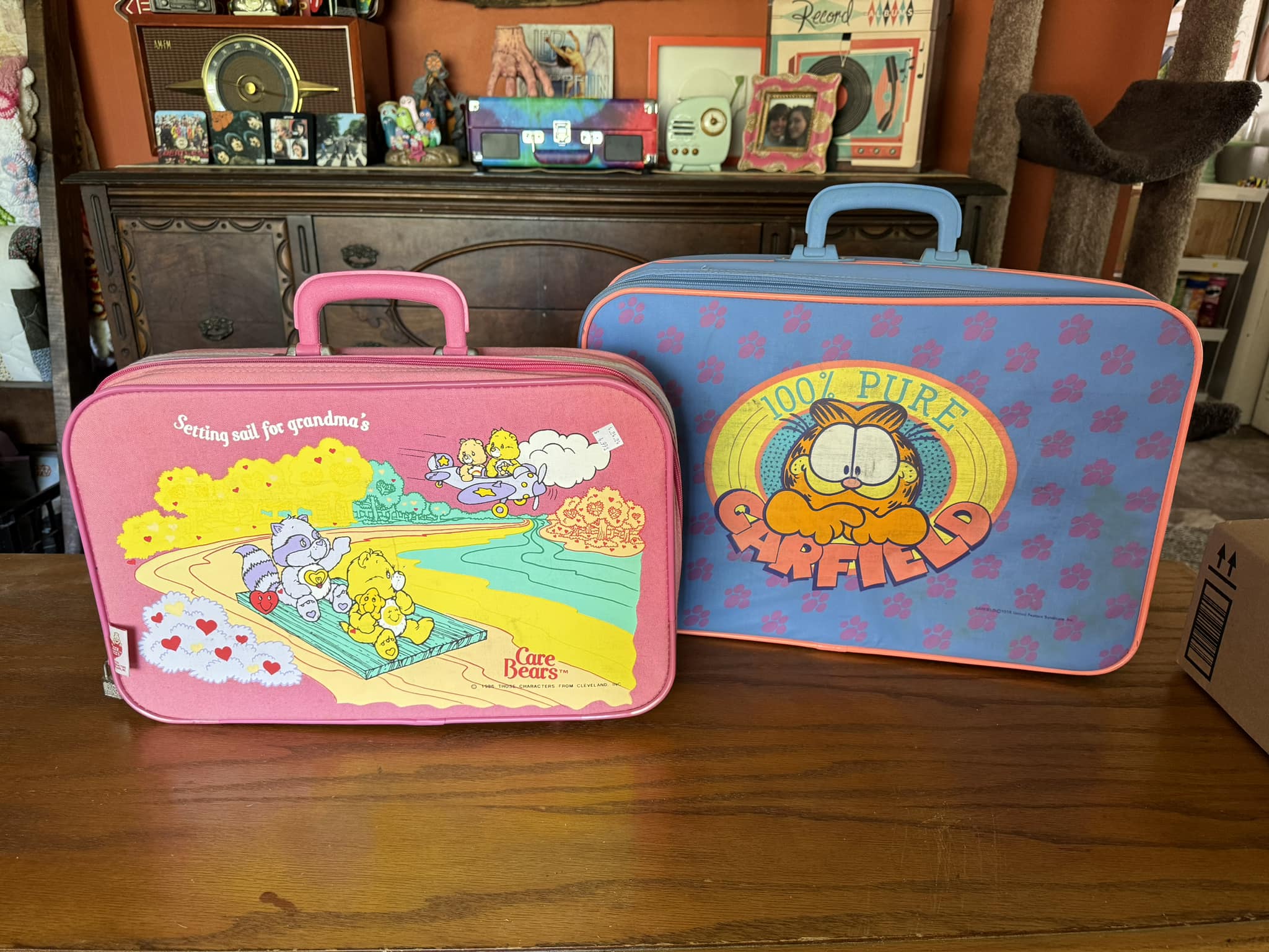 Vintage Garfield and Care Bears Suitcases Found at Goodwill in