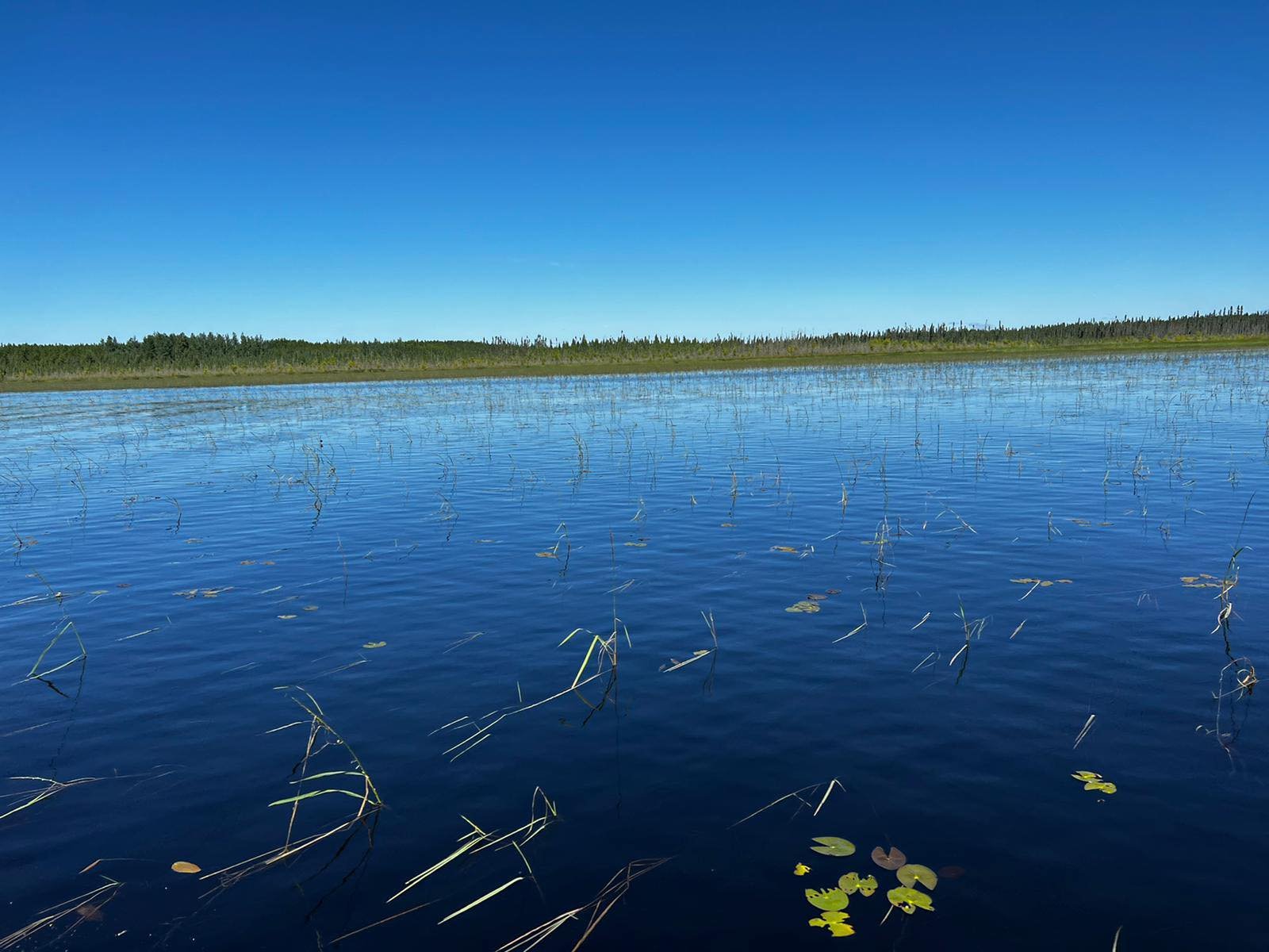 Flying Wild Rice Company