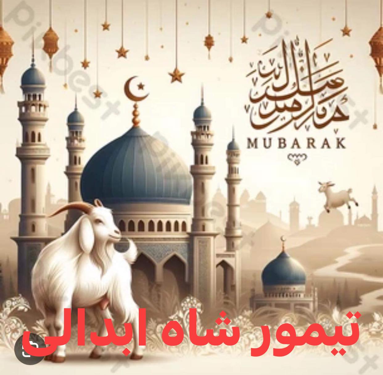 لیسه عالی خصوصی تیمورشاه ابدالی | Kabul